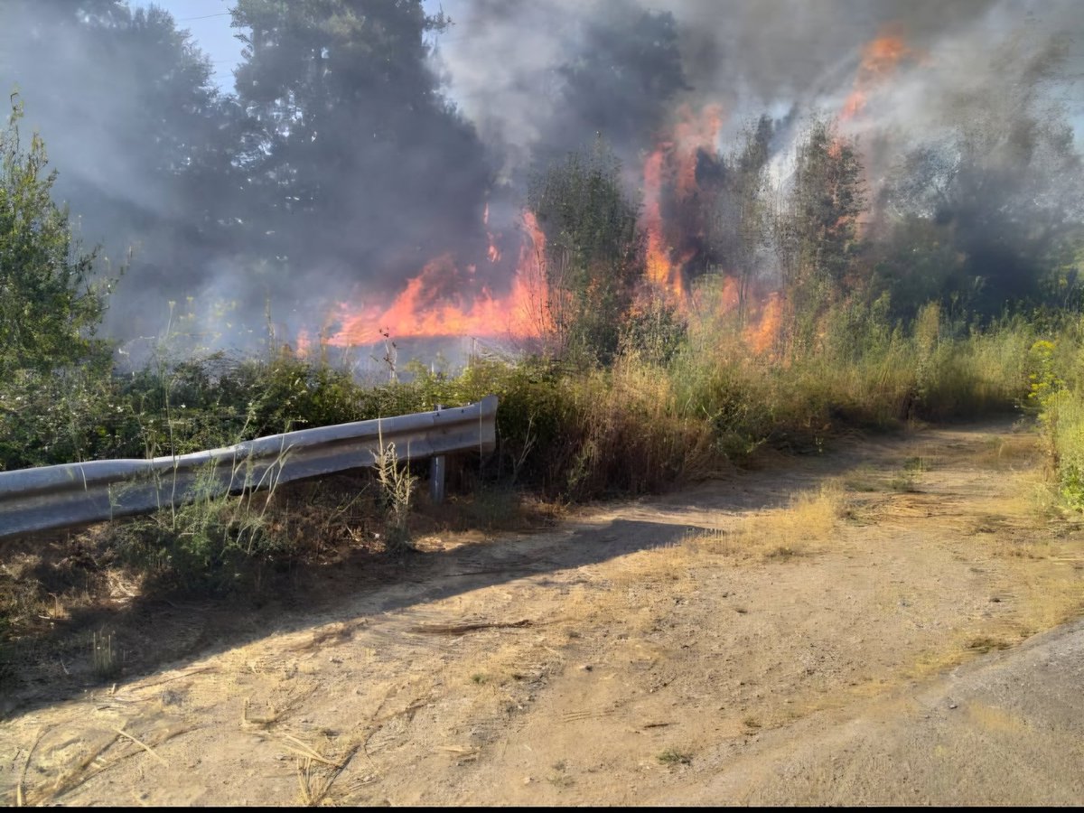 Los bomberos de Ponferrada sofocaron a última hora de la tarde un incendio forestal en la carretera de Magaz que afectó a media hectárea. Antes apagaron otro fuego producido en unas baterías de litio en un sótano de una casa en Folgoso que se saldó con 2 heridos leves.