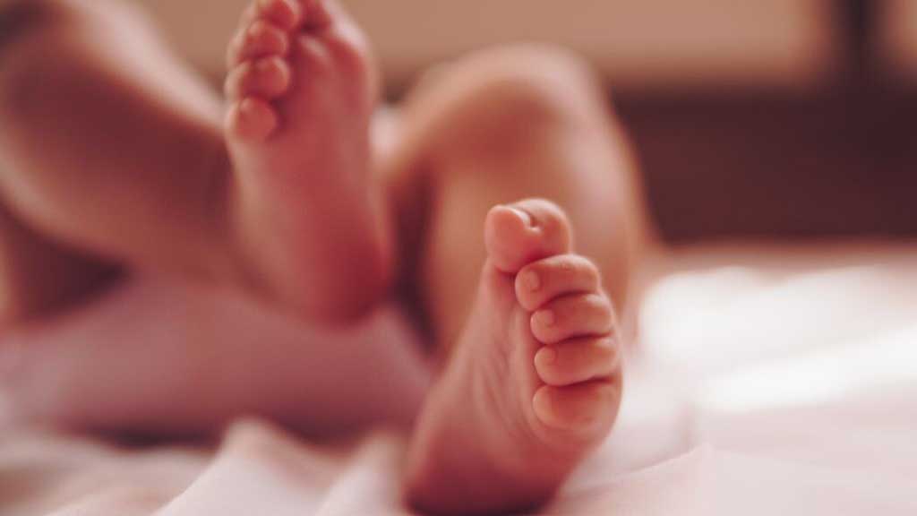 SetmanariEbre's tweet image. 👶❌ Als municipis del Mas de Barberans i Vinebre no va nàixer cap nadó durant el 2024
📷 LA NOTÍCIA: setmanarilebre.cat/als-municipis-…
@MasdeBarberans @AjVinebre @Vinebreactiu @govern @govterresebre @castorgonell @idescat #MasdeBarberans #Vinebre #TerresdelEbre