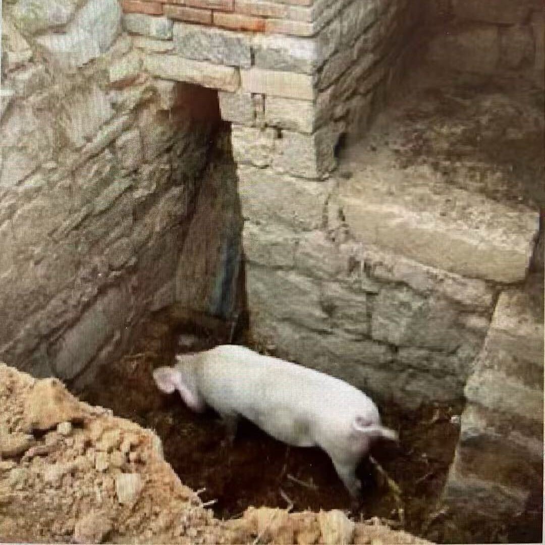 大声告诉我，这是谁？