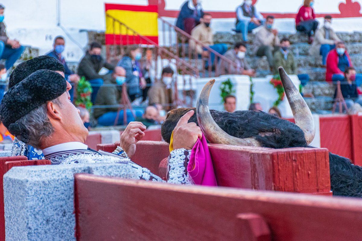 Los carteles de una de las ferias que más nos ha convencido en lo que va de temporada.
Un ciclo que apuesta por lo que esta revista defiende desde 2021
📖 Puedes leer la noticia completa aquí abajo 👇
eltoreocastellano.com
📸 @fotografiataurina_javier_perez