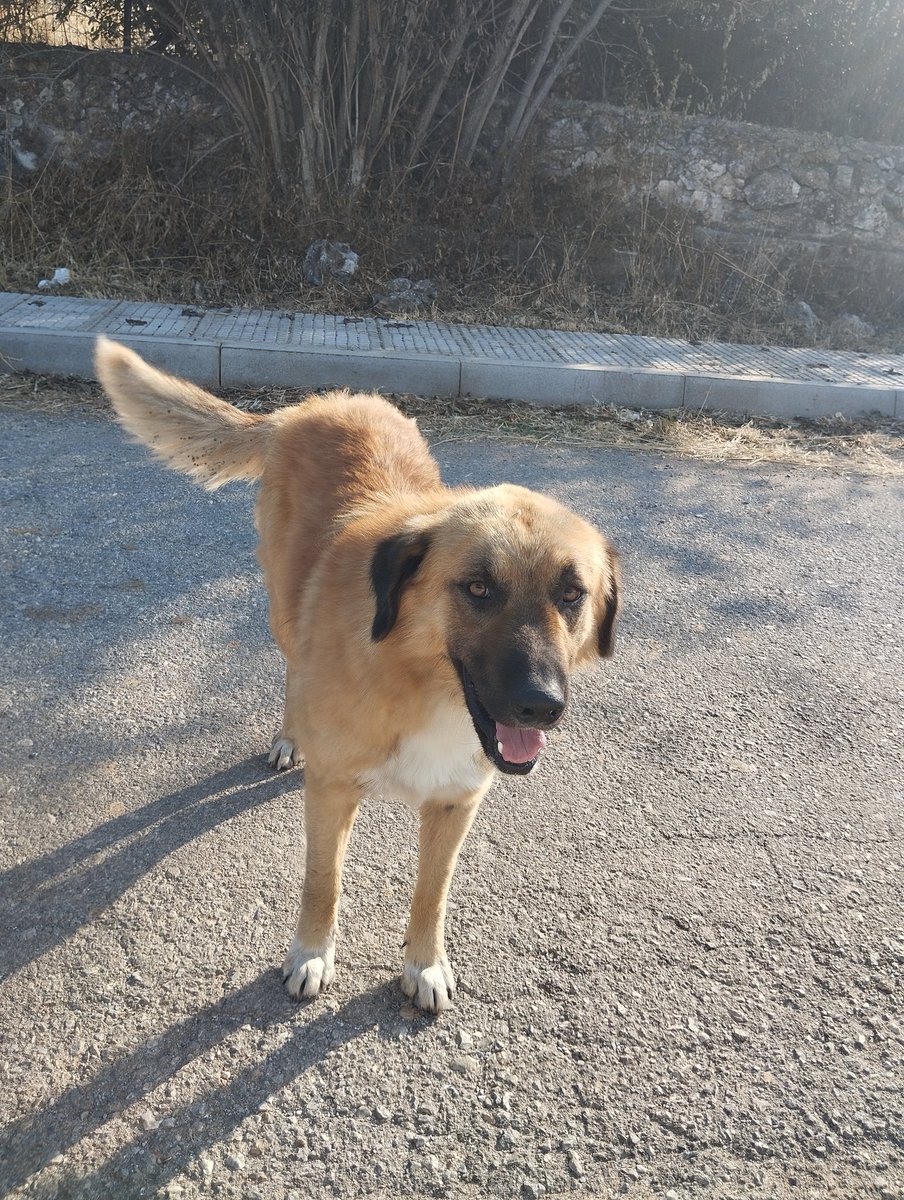 Μπούλη ...είχα καιρό να σας δείξω Ε;