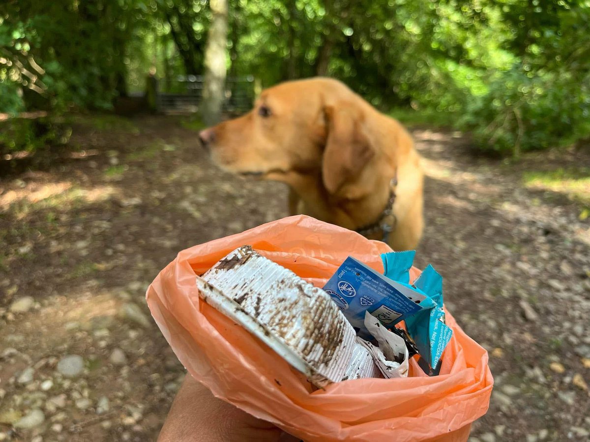 pawsonplastic's tweet image. Don’t look the other way.

There’s always something to be found, it only takes a minute &amp;amp; feels great to do your bit to protect animals &amp;amp; the #environment

Litter breeds #litter. Picking it up reduces the amount dropped.
 
Join us! 28,000 dog owners &amp;amp; counting…

#dogsofx
