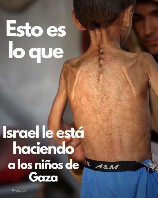 ELTOLAVARA6's tweet image. Cómo es posible que el #PPodrido y #VOX APOYEN que Netanyahu esté matando de hambre y fuego a Miles de niños y gente inocente desarmada?..Si votas a éstos partidos, estarás votando a verdadera GENTUZA sin ESCRÚPULOS.