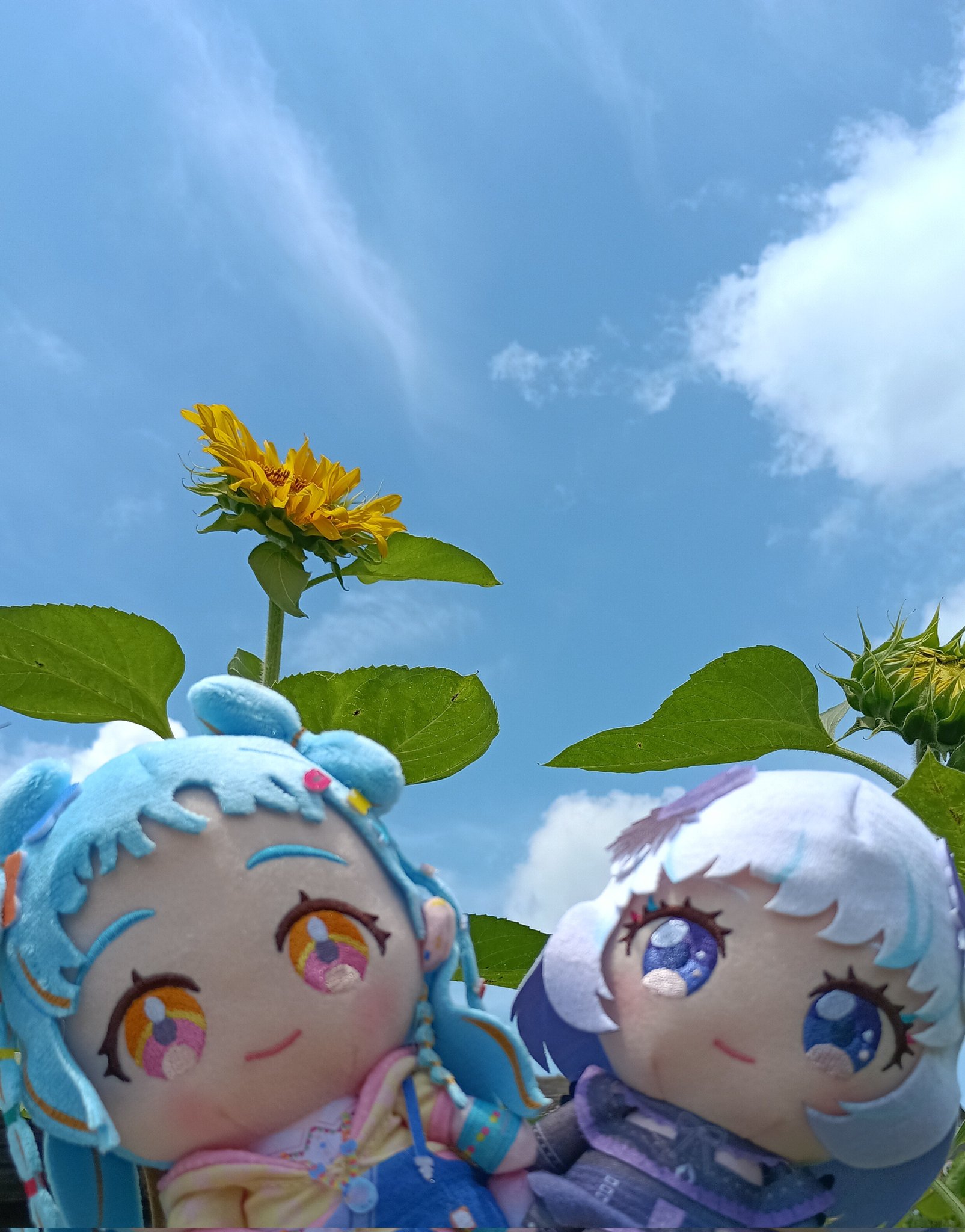 山ぶどう (@E61Ji2) / X