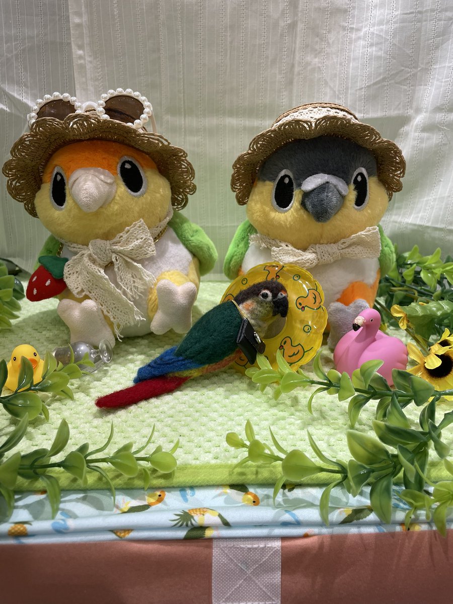N1zUYkGTAVJij1v's tweet image. 新宿ことり博に行って来たよー❣️
ねぐせさん、めっちゃ可愛い方でした😍萌え〜
まるちゃんとおちるたん&amp;amp;ずぐまる君