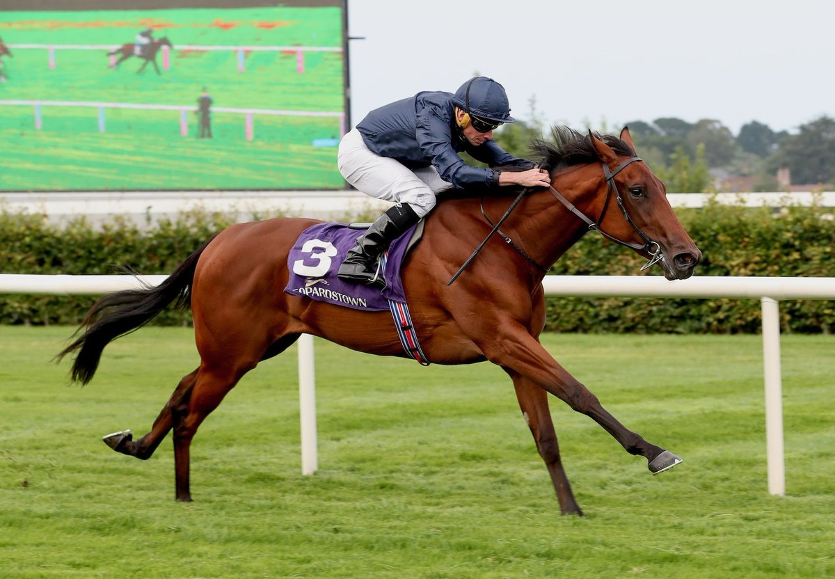 coolmorestud's tweet image. Wootton Bassett Juvenile Makes All To Group 3 Success.
Composing (2f Wootton Bassett – Epona Plays, by Australia) followed up last month’s maiden win with a taking... coolmore.com/farms/ireland/…