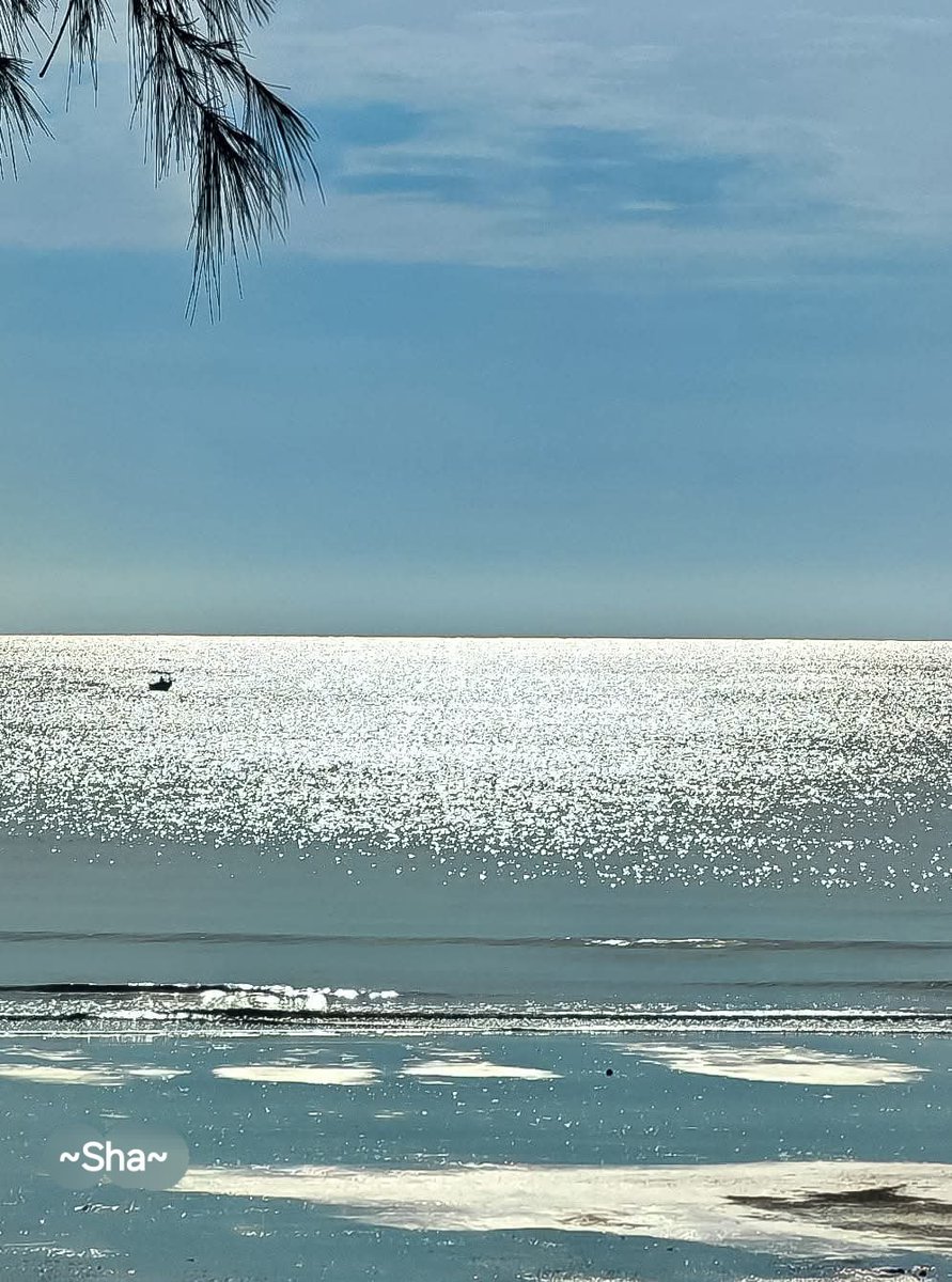sha_m292411's tweet image. ❤️A GENTLE REMINDER❤️
Before you mock someone, remind yourself of this verse;
We have certainly created man in the best of stature💕
🌸Quran 95:4🌸
Mocking the creation is indirectly mocking the creator
Talk with beauty
Or beautify yourself with silence❤️
🇲🇾❤️~My hometown😘