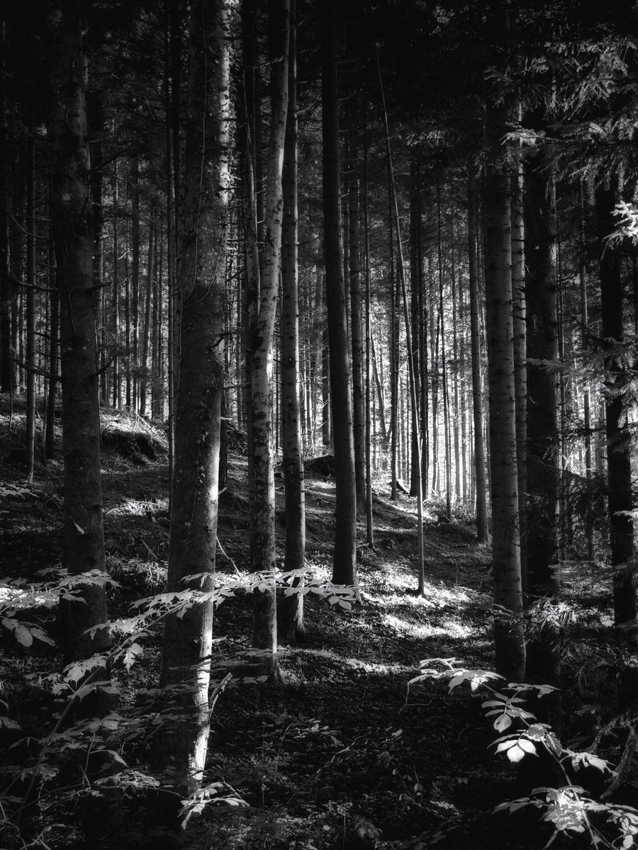 Drabbles153's tweet image. #NFTkaltenstein #kaltenstein #Vorarlberg #Austria #monochrome