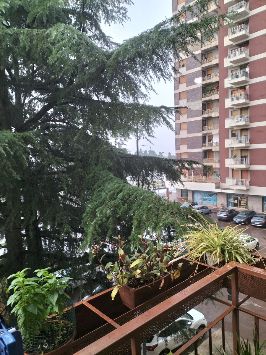 magabarroi's tweet image. 26 Luglio, pieno autunno....Da Bergamo è tutto ...a voi la linea 😞😞😞😞