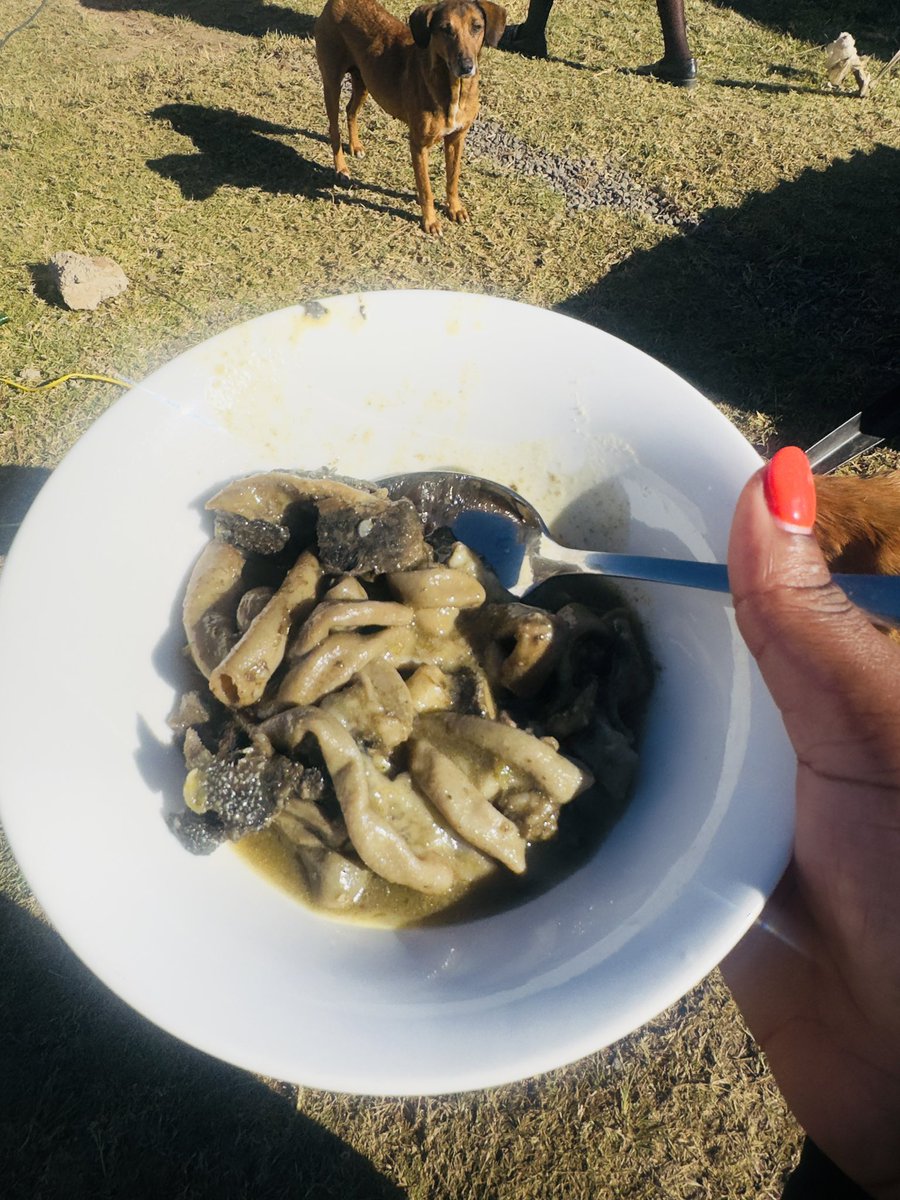 madasd's tweet image. Breakfast of champions!!! 🤌🏿🙏