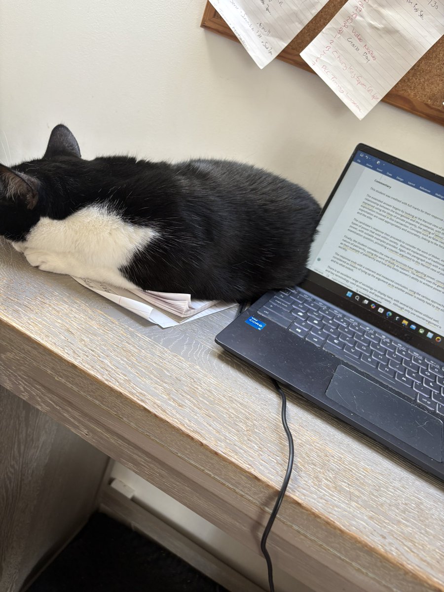 My co-writer is already bored with the work. We still have 2 more booklets to produce today.
