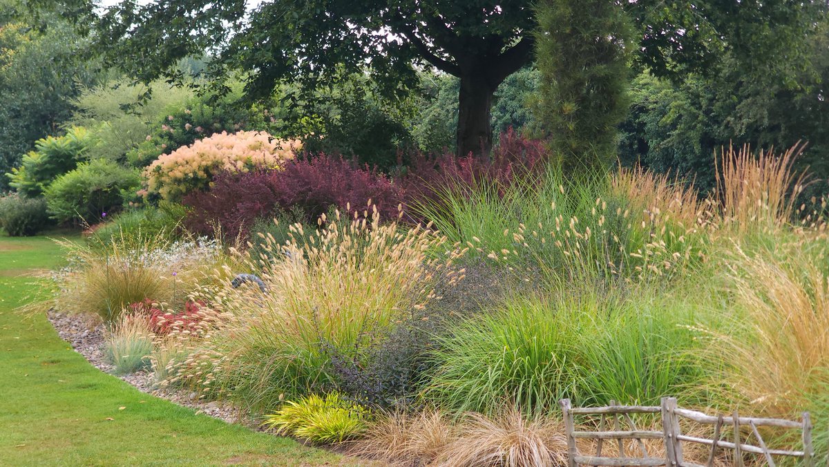 Chris Howell (@christophhowell) on Twitter photo John's Garden at Ashwood is open today 10- 4pm and every Saturday.
Come along to one of the UK's finest gardens and witness horticulture at its best. All proceeds go to charity. <a href="/JohnsGardenAsh/">John's Garden</a> <a href="/ashnurs/">Ashwood Nurseries</a> John's Garden at Ashwood is open today 10- 4pm and every Saturday.
Come along to one of the UK's finest gardens and witness horticulture at its best. All proceeds go to charity. <a href="/JohnsGardenAsh/">John's Garden</a> <a href="/ashnurs/">Ashwood Nurseries</a>