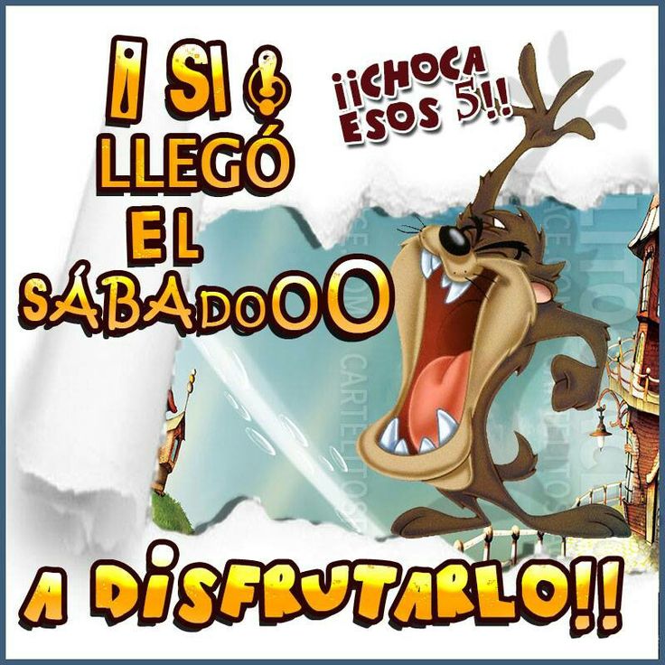 Javitxu15913515's tweet image. Buenos días Gente y Feliz Sábado desde el Norte 😘☕
Que disfrutéis un montón de este día como cada un@ mejor quiera, a los que tengáis que trabajar que os sea leve y siempre con una sonrisa puesta 😃🫂