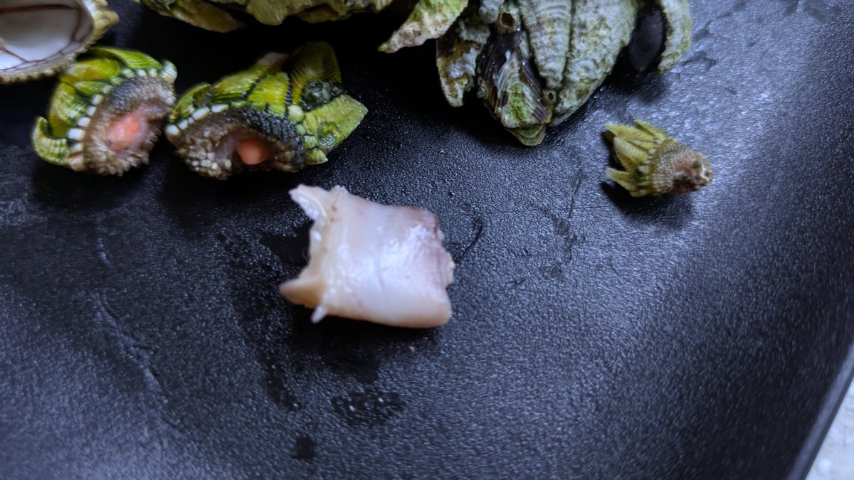 1007yu's tweet image. YouTubeとかで見てて、ずっと食べてみたかったカメノテ。確かにこんな見た目してるのに甲殻類の味して、美味しい。