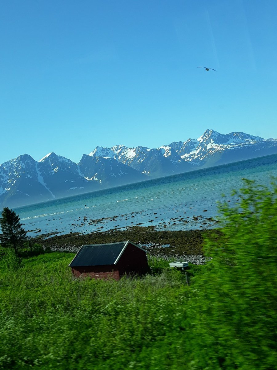 GudrunsAlterEgo's tweet image. Norwegen 🇧🇻