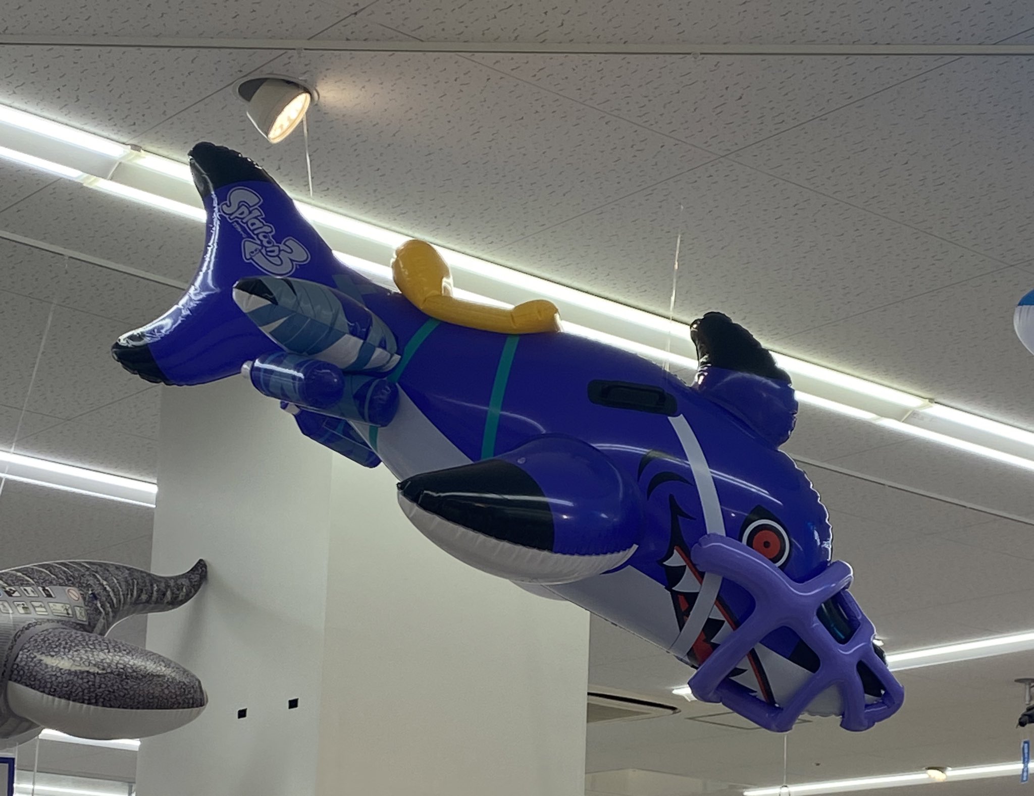 新品・未開封　藍谷凪　サメとうふ　紡ぎ紡がれたカタチ 98452-33-