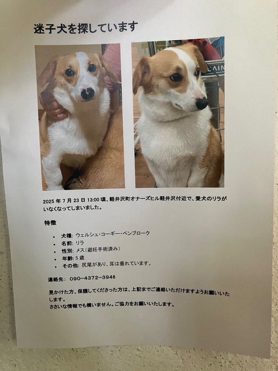 bononosukekun's tweet photo. 拡散希望ということなので、詳細は分かりませんが取り急ぎ！ https://t.co/Rpx9bHz4dV