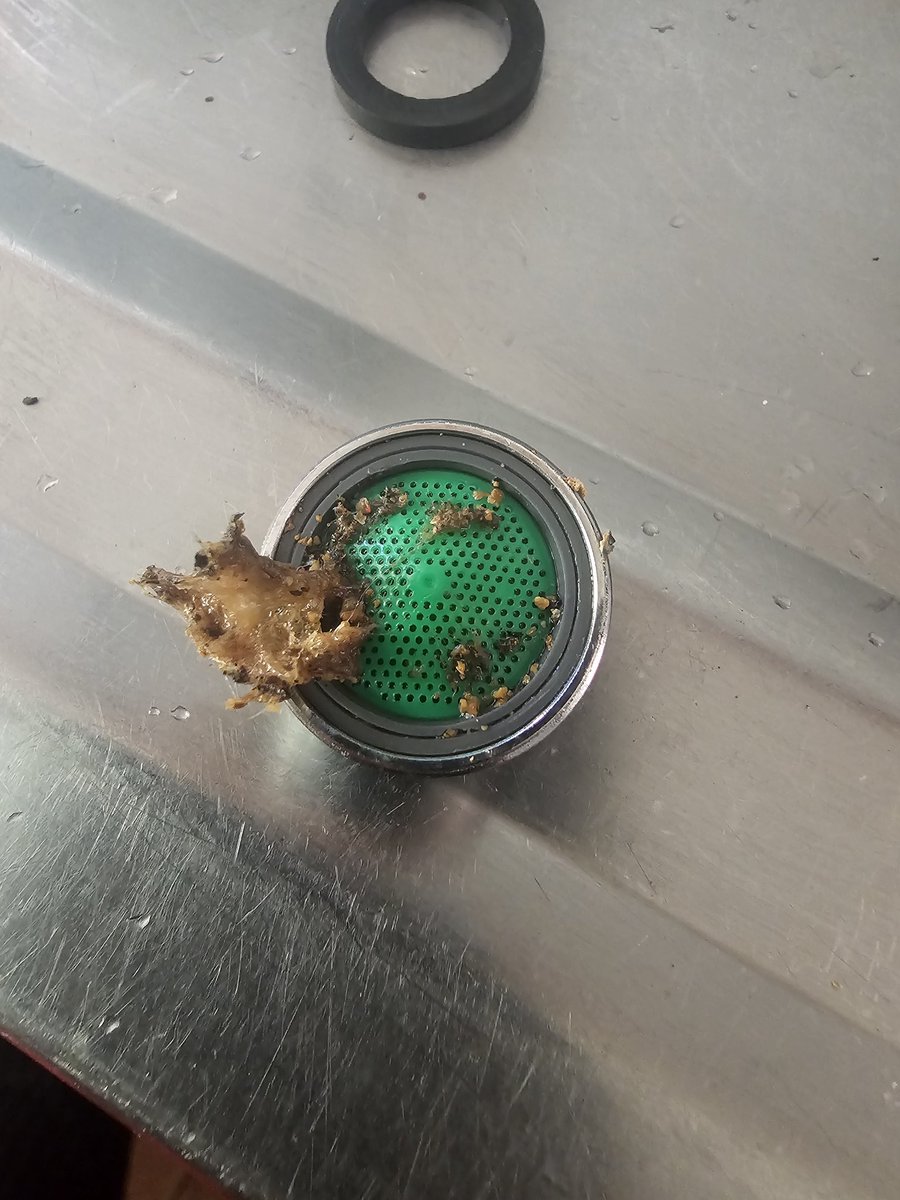 This was caught on the inside filter of our mixer tap coming from the main municipal water supply 😫 <a href="/Rand_Water/">Rand Water</a> <a href="/PresidencyZA/">The Presidency 🇿🇦</a>
