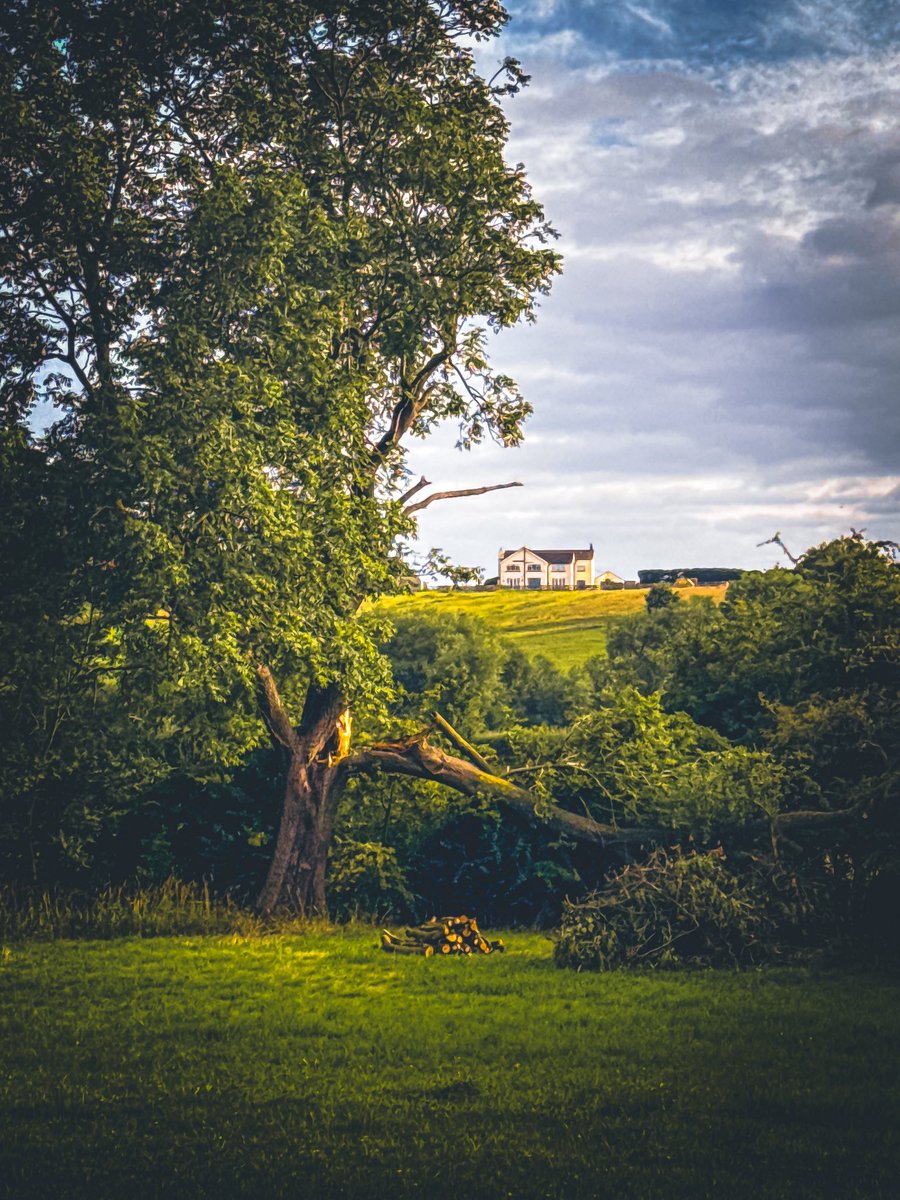 offgriddesigner's tweet image. Morning! ☕️🌳