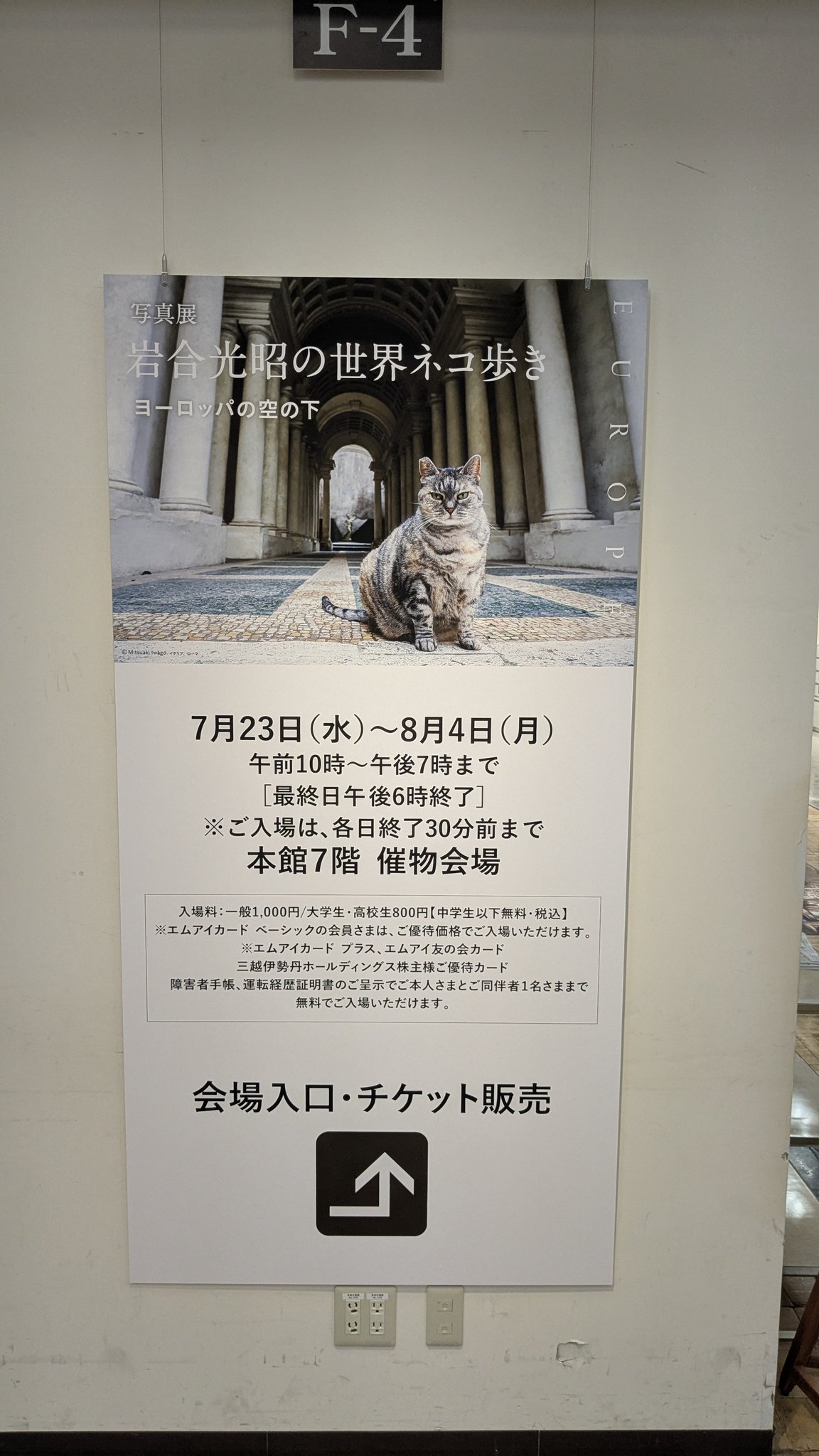 岩合光昭　クジラ　写真パネル　シリアルナンバー入り 岩合光昭 子猫デザイン B6クリアファイル CHATNOIR - メルカリ