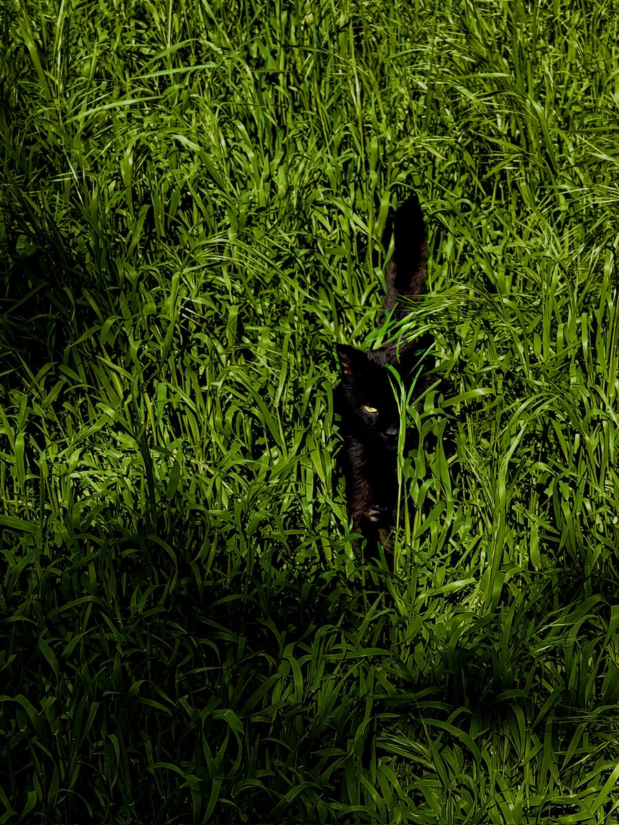 Чи донатили ви сьогодні?

send.monobank.ua/jar/3NH8iBMbYi