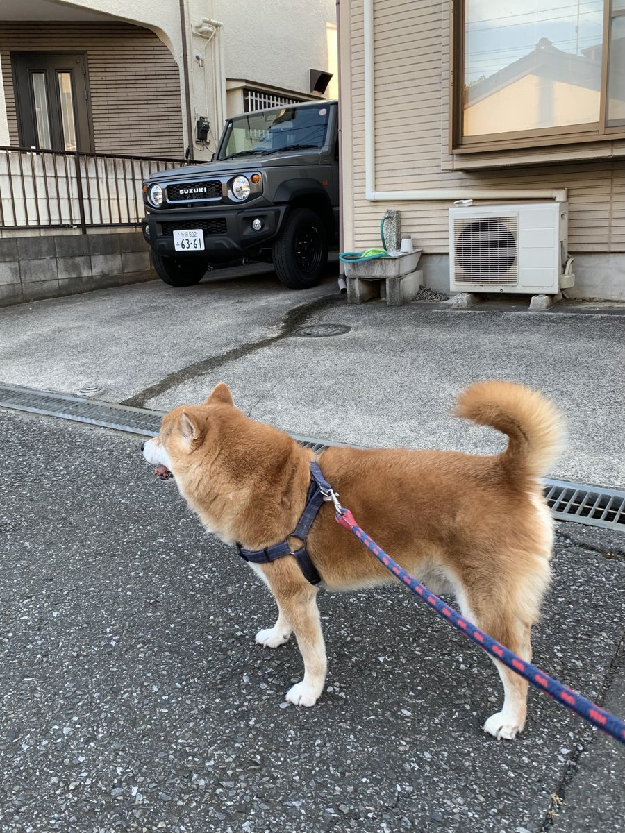 DC2_98spec's tweet photo. しごおわサタデーナイトテイハー🐕 ͗ ͗🕺🏻
速攻で帰りまシエラぁぁぁぁ
おつかれさまでした•*¨*•.¸♬︎ https://t.co/oud3N03eC4