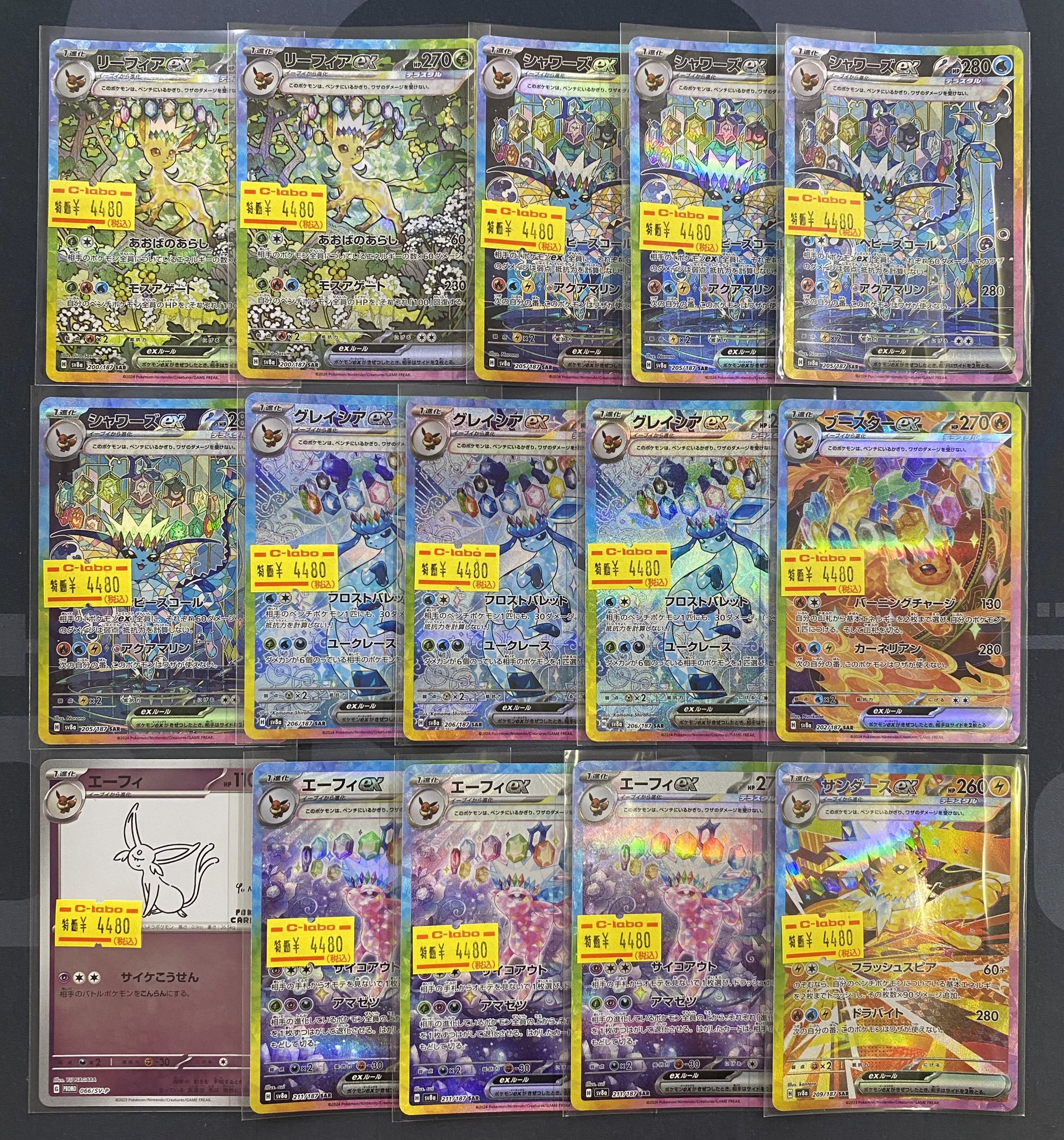 リーフィアEXとシャワーズEXセット ポケモンカード PSA10 リーフィアexとシャワーズexが入荷いたし