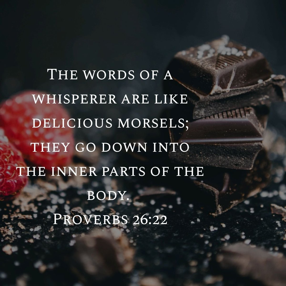 WmHillJr's tweet image. Daily Proverb (7.26.2025) 📖 
#dailyproverb #proverbs #wisdom #bible
