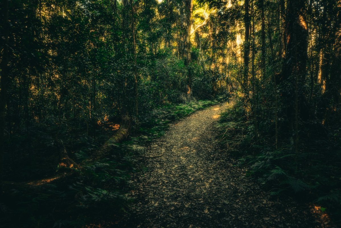 MichaelBuda2's tweet image. Some rough photography for your timeline