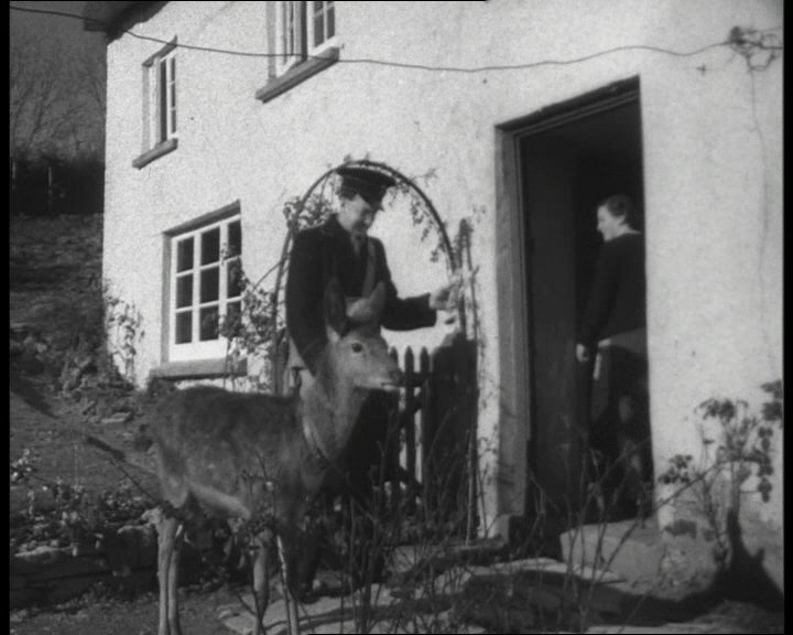 thelonningsguy's tweet image. A film showing a tame deer helping a rural postman on his rounds? What's not to like? #postboxsaturday
cutt.ly/LrAgnT8k