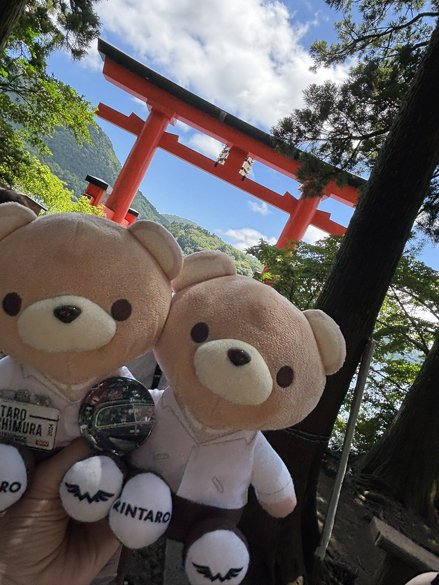 shizu-rin （しづらー 🐝） on X: 