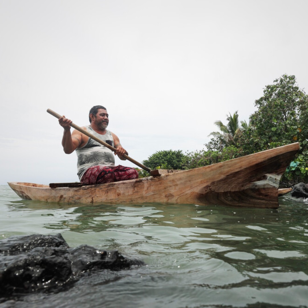 IFADespanol's tweet image. Savelio cosecha uvas de mar en #Samoa.
Con la pandemia, le resultó difícil obtener unos ingresos estables.
Un proyecto apoyado por el FIDA le proporcionó una canoa de madera y accesorios, lo que le ayudó a procesar uvas de mar de forma eficiente y a volver a ponerse en pie.