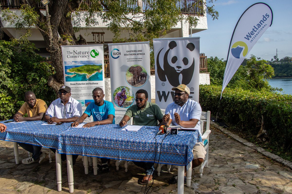 WetlandsIntEA's tweet image. 🌍 Happy #WorldMangroveDay!
Celebrations are underway in Kilifi with a milestone MoU signing by GMA Kenya Chapter — a big boost for community-led mangrove restoration!
More in store as we honour these Coastal Superheroes safeguarding shores & livelihoods. 🌿💙
📸 #IDCME2025