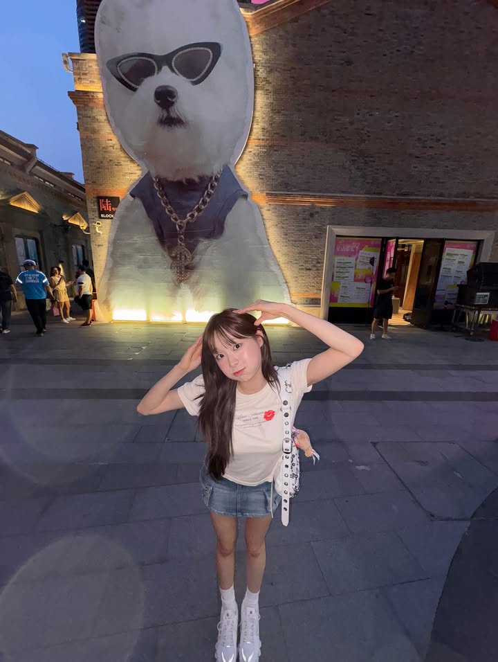 ginggingeeee's tweet image. 본인이 강아디인걸 아는여자 호감