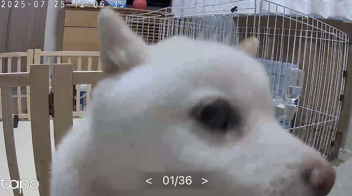 Goreshx's tweet image. Research facility C has been completely destroyed by an unknown threat. No survivors. Only one image was able to be salvaged taken by the security camera.