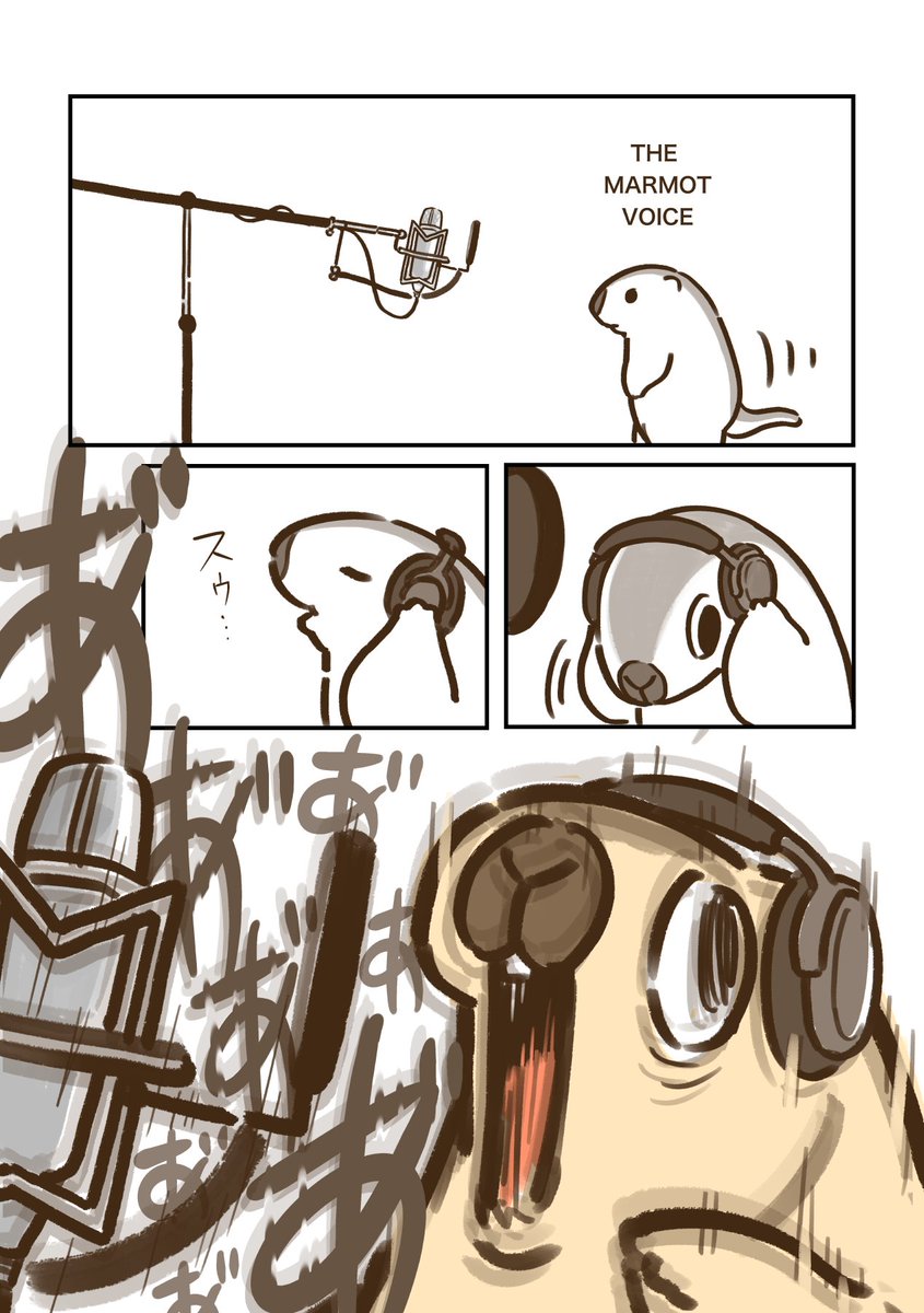 marmottooooo's tweet image. 🎙️( ◐(ｴ)◑ ʔ