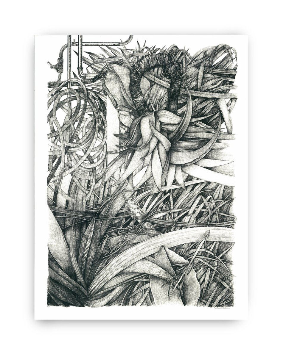 We’re delighted to announce the restock of several sold-out works by celebrated illustrator Lucille Clerc, a long-standing studio artist here at Print Club London.

l8r.it/KAxZ