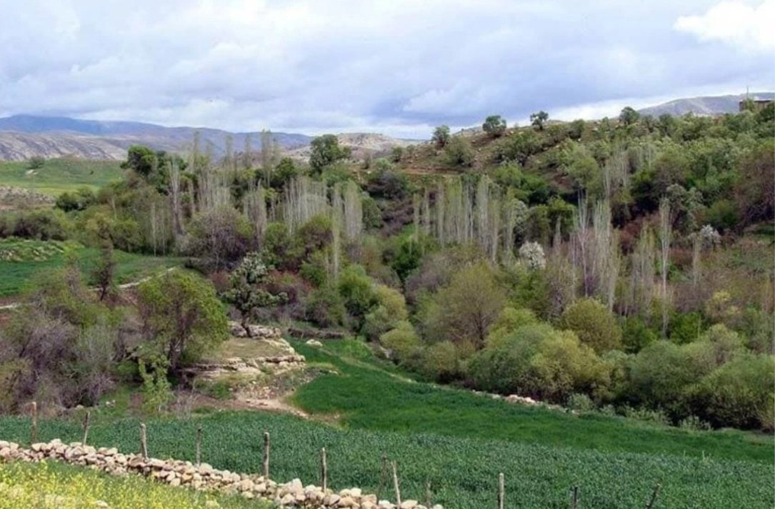 YRoghaeh2181's tweet image. روستای زیبا وخوش اب وهوای "کُلم" از توابع شهرستان بدره بوده واین روستا بسیار زیبا ودلپذیر وحس تازه ای در شما زنده می کند.
#ایران_جان
#ایلام_ایران
