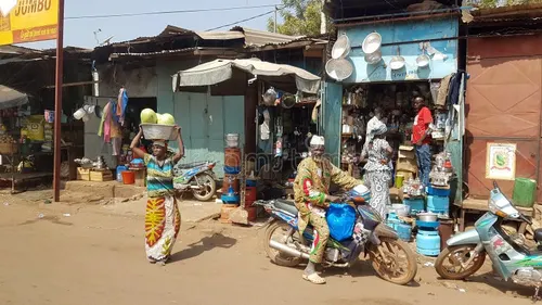 To raise your nation's fertility rate, you need to be Mali maxxing