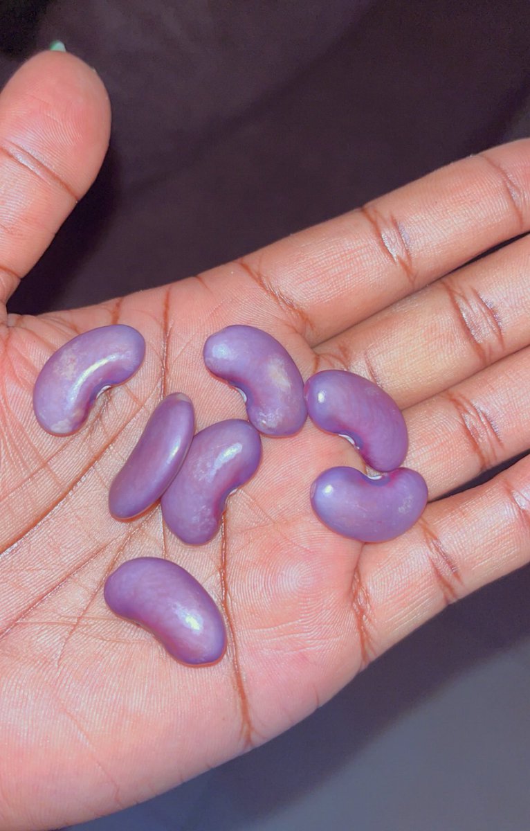 A collection of beans grouped together is called....?