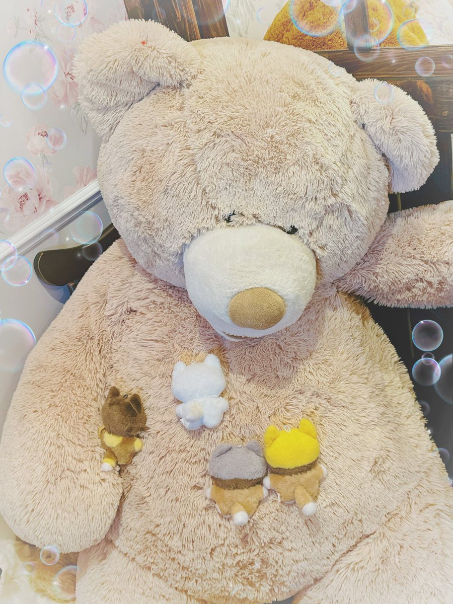 milkeway043's tweet image. #みんなのぬいの後ろ姿見せて
後ろ姿さえも愛しい(ෆ¯꒳¯ෆ)🤍💛🩶🖤⟡.·
(※全てお店側から許可を頂いた場所や状態で撮影しております📸✨)