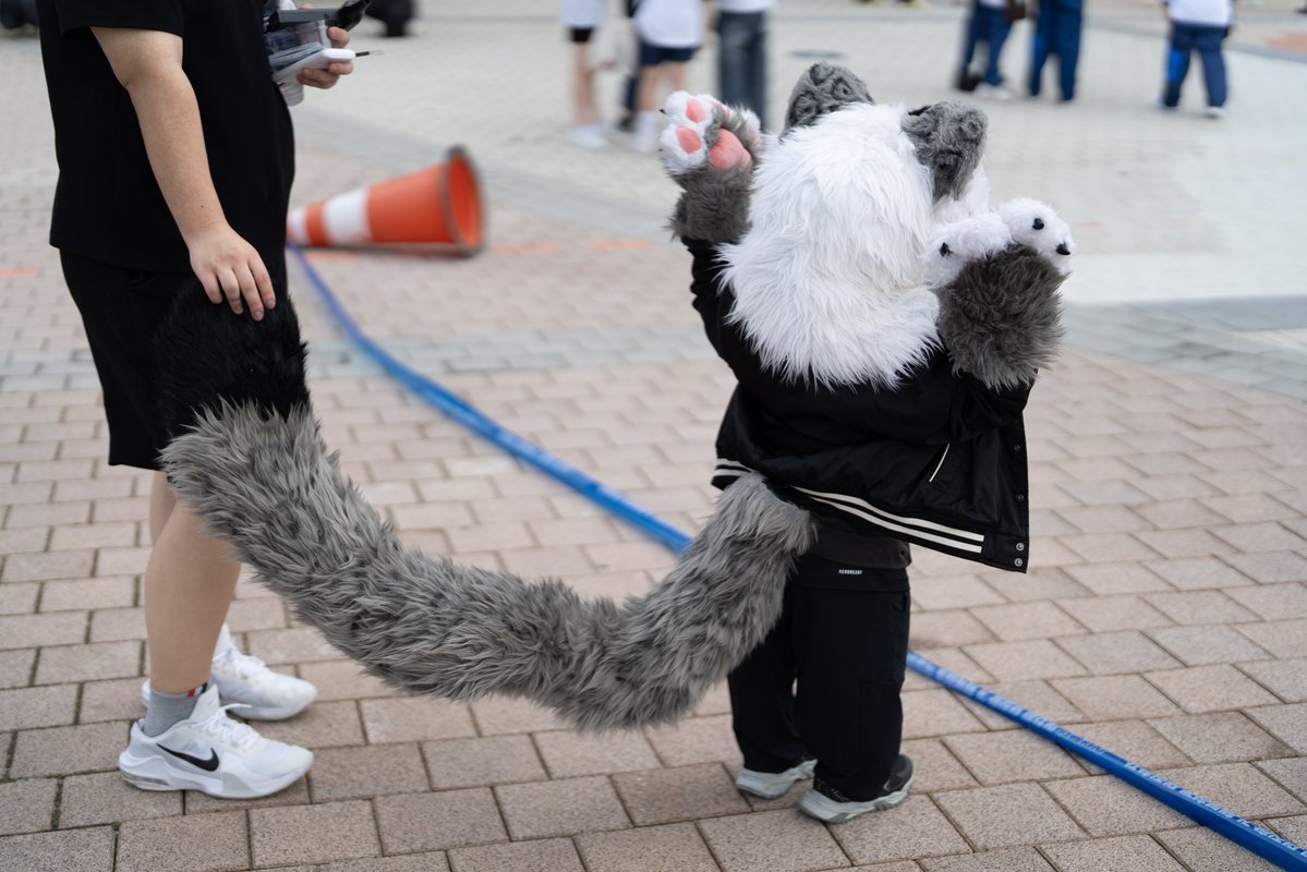 #FursuitEveryday #furry #fursuit 
시원행~
