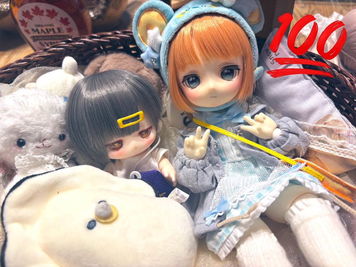 a_t_k_0912's tweet image. 作業見守り隊❤︎
