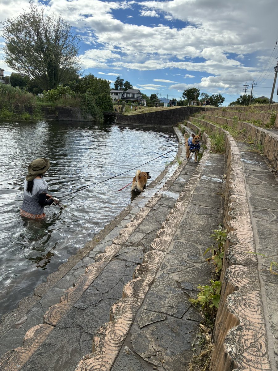 Nons00410540's tweet image. 湧水天然プールの隣で泳いできたよ〜
ママもたぬきちに付き合って入りました
子供達シュノーケルで潜ったりしててすっげー👀
湧水だからめっちゃ冷たかった!