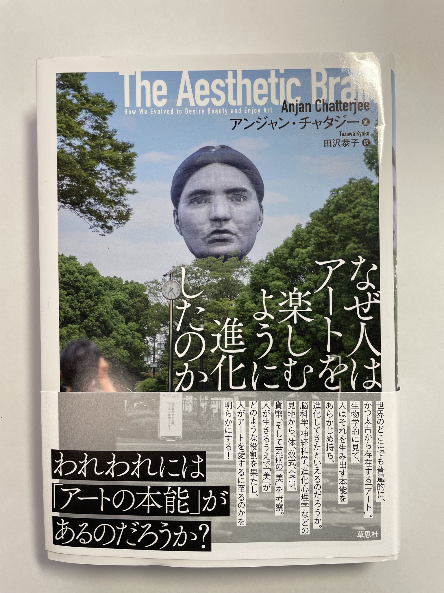 あおむろひろゆき 「論文」 いぢちひろゆき on X: 