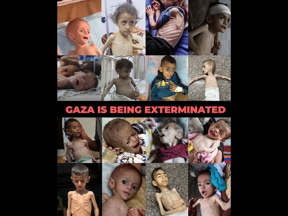 DanielDanny4755's tweet image. Enough is enough - The western powers need to use force if necessary to restore #UNRWA Aid distribution back to its original status, the situation in #Gaza🇵🇸needs immediate help “IMMEDIATE”!!!
For many starving children it may be already #ToLate!!