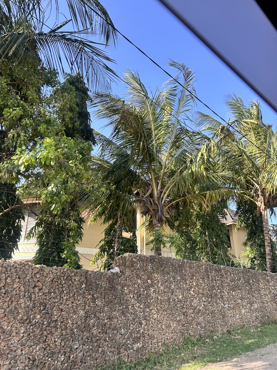 ComedianMwirigi's tweet image. 🏝️