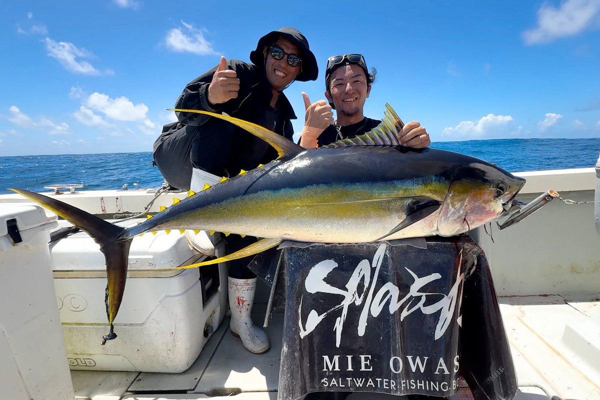 豊田ヒロ tweet media