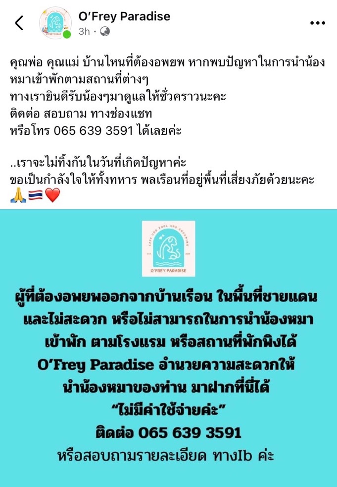 📢 สำหรับผู้ที่ต้องอพยพแต่ไม่สามารถพาน้องหมาไปด้วยได้ 🐶  
สามารถฝากน้องหมาไว้ที่ **O’Frey Paradise** จันทบุรี **ได้ฟรี ไม่มีค่าใช้จ่าย** นะคะ 💙  
ขอส่งกำลังใจให้ทุกคนปลอดภัย 🙏

#ชายแดนไทยกัมพูชา #ไทยกัมพูชา #ตราด #จันทบุรี  
#Breaking #NewsX #BTS #StrayKids #Crypto #UFC