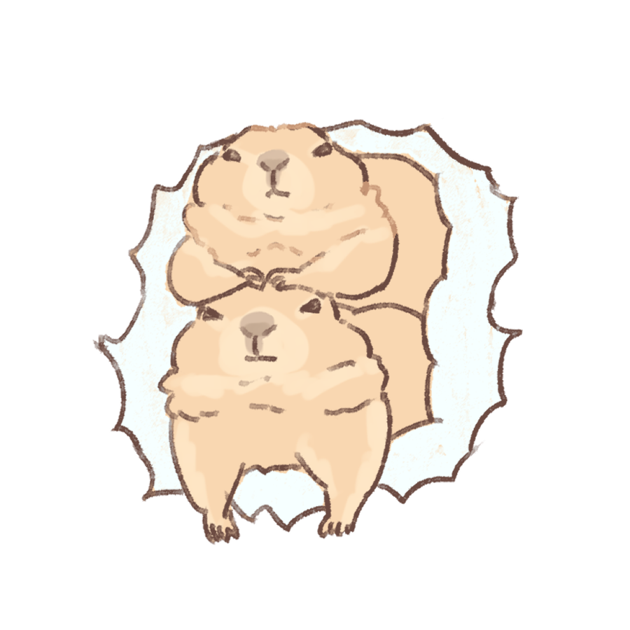 Py0wwK's tweet image. #たぬき #プレーリードッグ 
#ヤブイヌ
突き破るシリーズ
